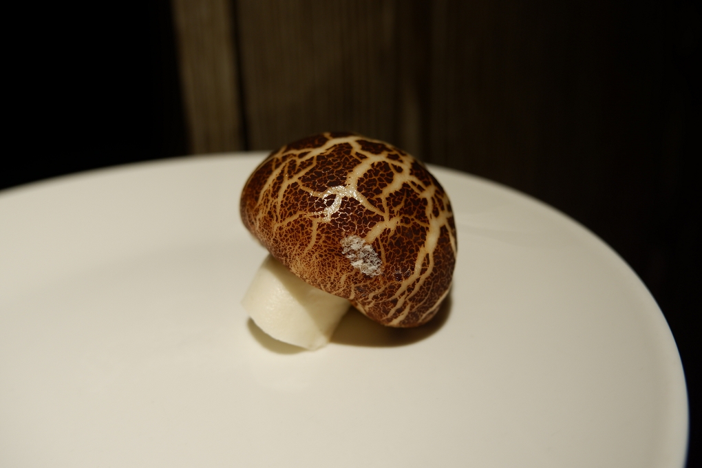 【新北 板橋中式餐廳】家宴中餐廳 &#8211; 板橋凱撒大飯店 @貝大小姐的多元心宇宙