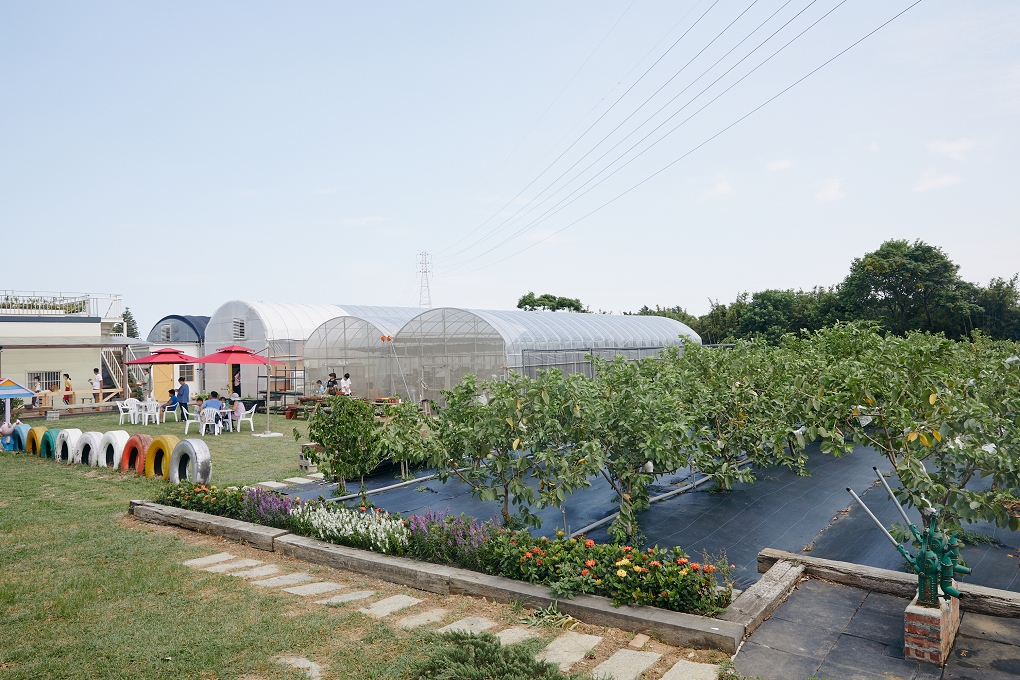 【桃園 假日旅遊推薦】藍迪開心農場半日遊 @貝大小姐的多元心宇宙
