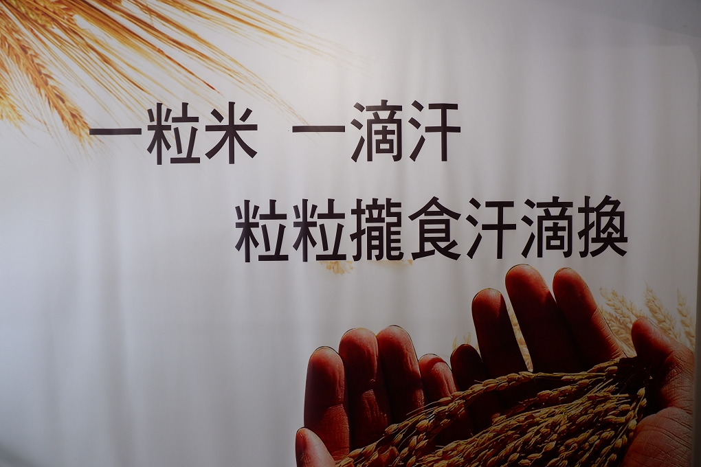 【新北 樹林美食】黑美林自助餐 樹林自助餐推薦 @貝大小姐的多元心宇宙
