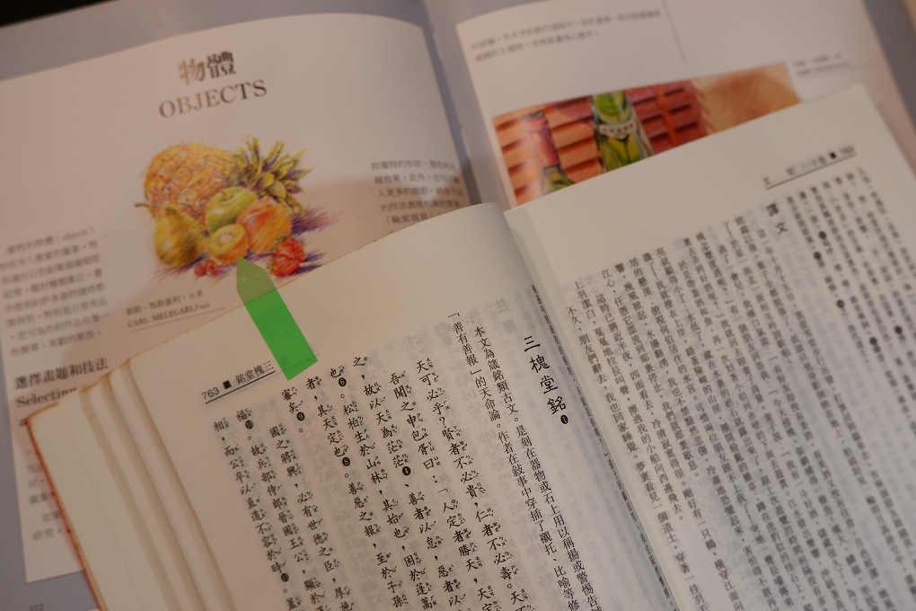【疫起在家找事做】藝術療癒-色鉛筆畫篇 @貝大小姐的多元心宇宙