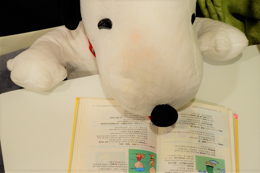 【疫起在家找事做】網購工作室桌子&#038;椅子 #好家在我在家 @貝大小姐的多元心宇宙