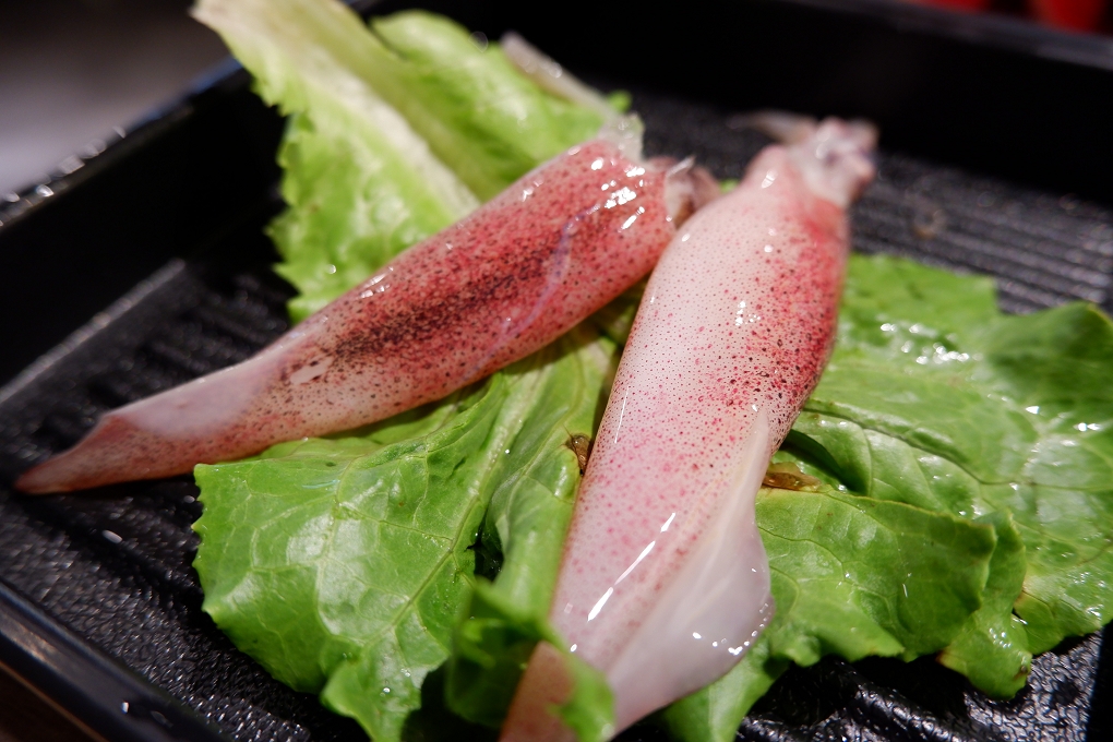 【新北 板橋 江子翠捷運站火鍋吃到飽】吉哆日式火鍋百匯X泰饗吉哆泰國美食節 @貝大小姐的多元心宇宙