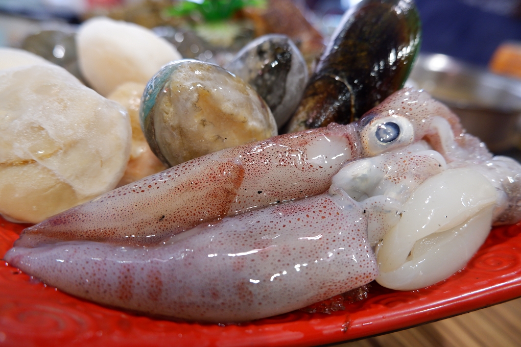 【新北 板橋火鍋吃到飽】現煮食麻辣鴛鴦火鍋 佛系老闆又要瘋狂送了！ @貝大小姐的多元心宇宙