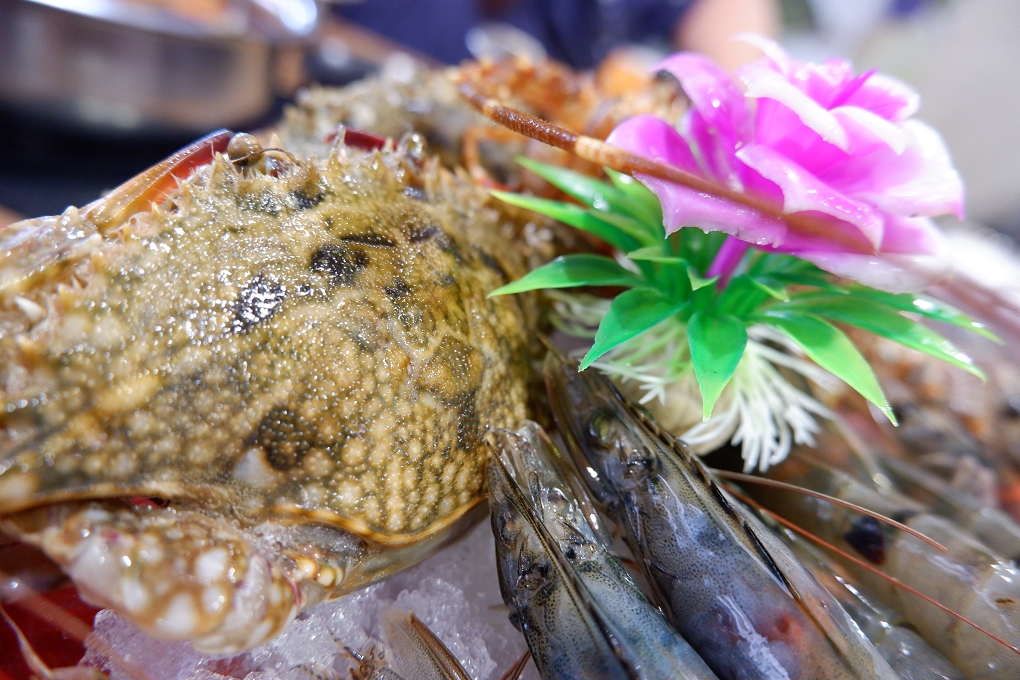 【新北 板橋火鍋吃到飽】現煮食麻辣鴛鴦火鍋 佛系老闆又要瘋狂送了！ @貝大小姐的多元心宇宙