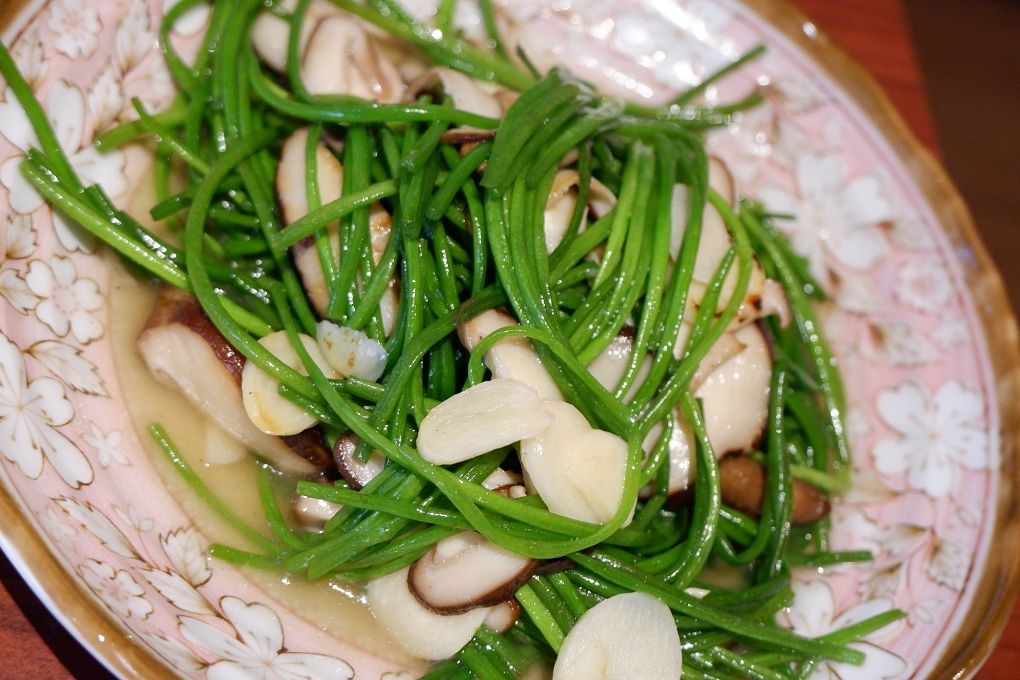 【台北 西門居酒屋】狗一下居食酒屋-西門店 @貝大小姐的多元心宇宙