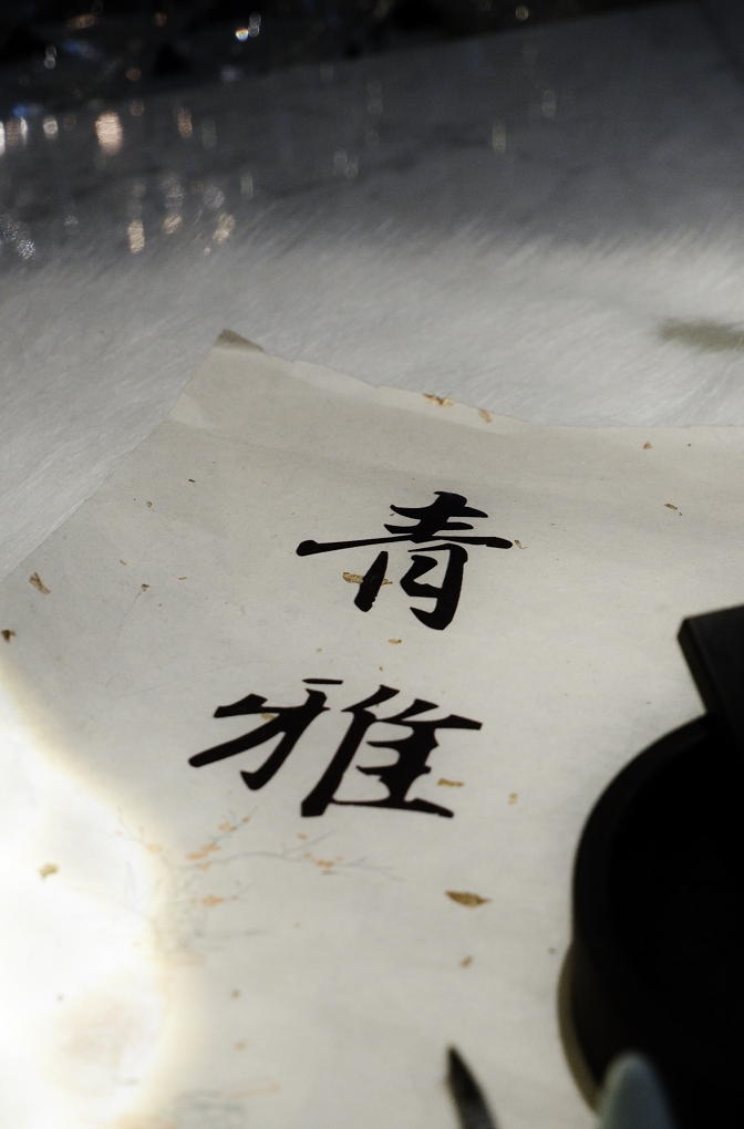 【板橋港式點心推薦】新板希爾頓酒店 青雅中餐廳 @貝大小姐的多元心宇宙