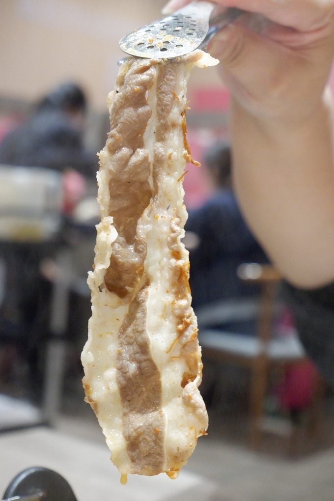 【內壢火鍋推薦】全台最大火鍋集團樂多多旗下 肉多多火鍋內壢忠孝店 全台多家門店營業到凌晨4點，是夜貓子的好選擇！ @貝大小姐的多元心宇宙