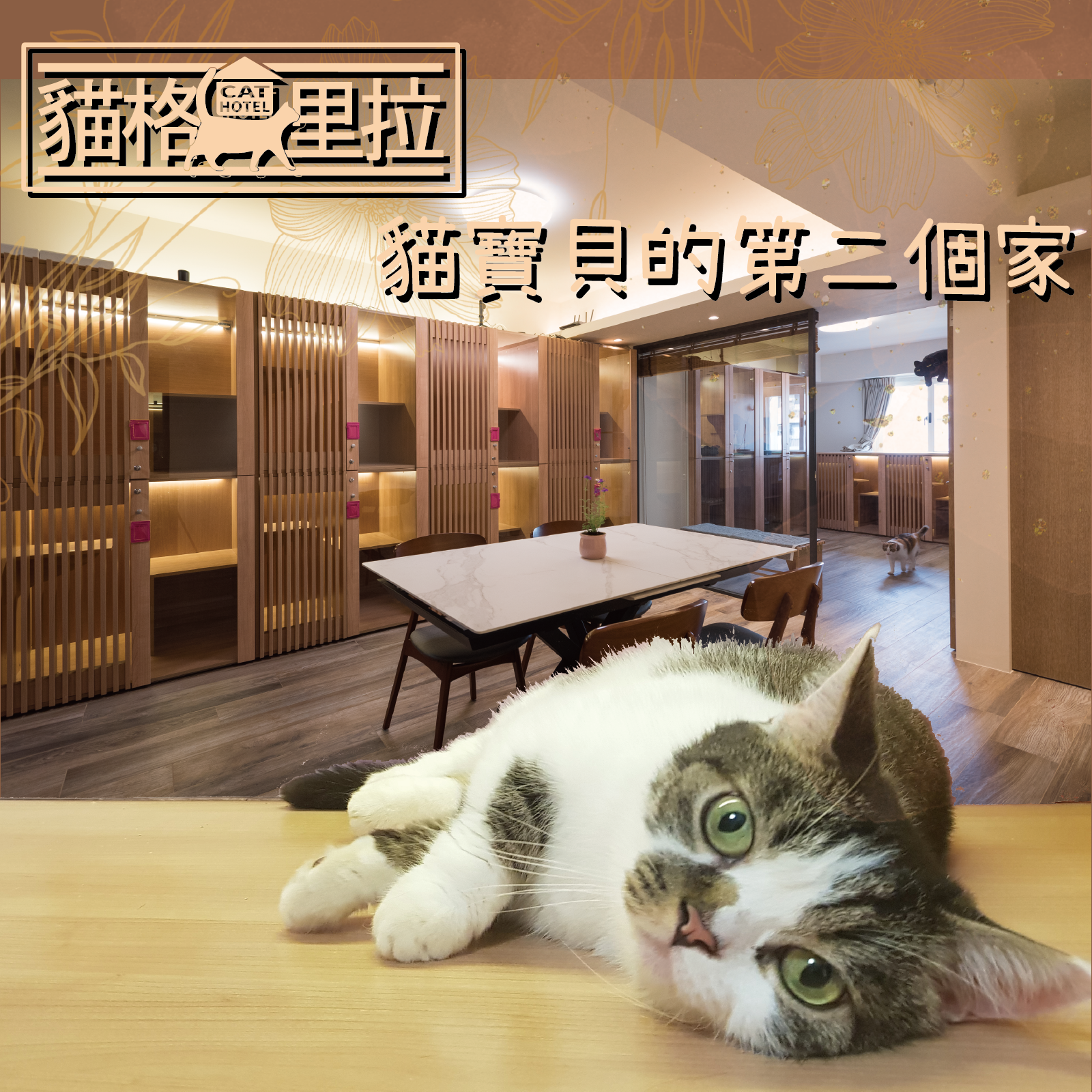 【誰，教會我的一件事】經營貓旅館，教會我的一件事 @貝大小姐的多元心宇宙