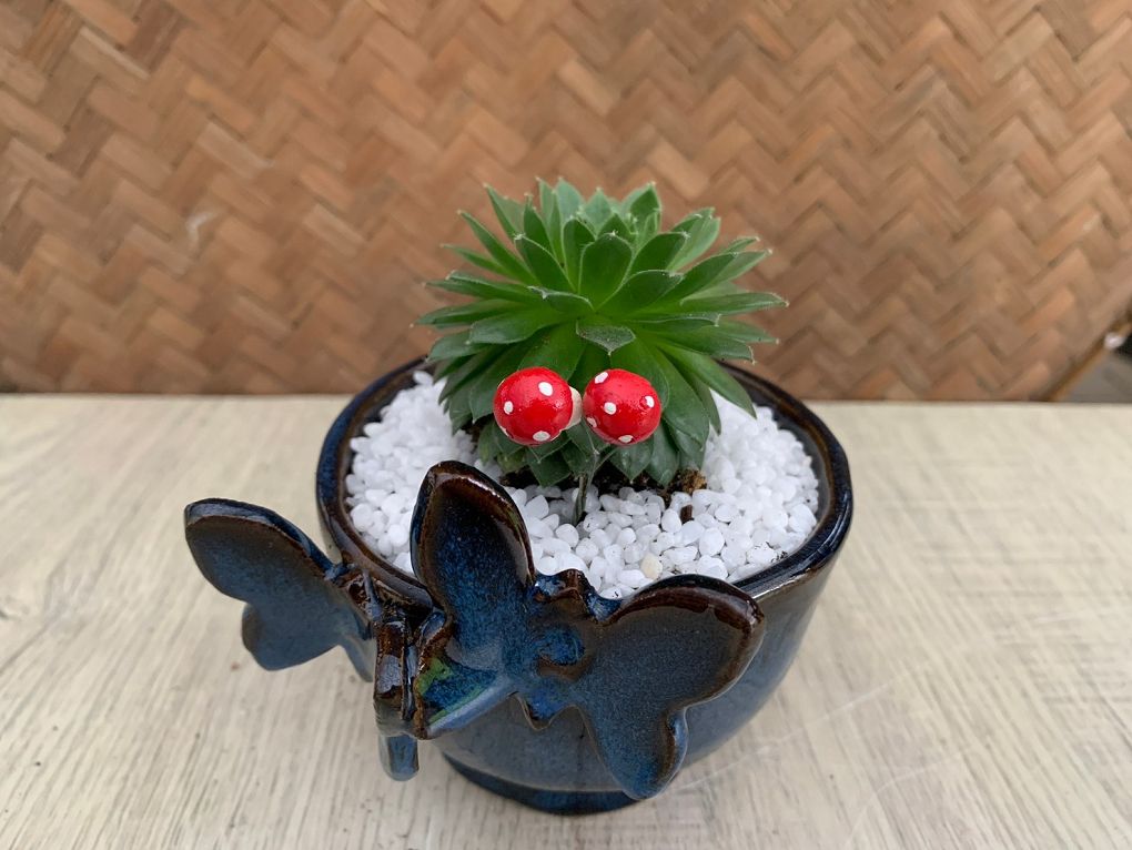 【展覽資訊】成功高中&#038;藍廸兒童之家陶藝盆栽義賣展 @貝大小姐的多元心宇宙