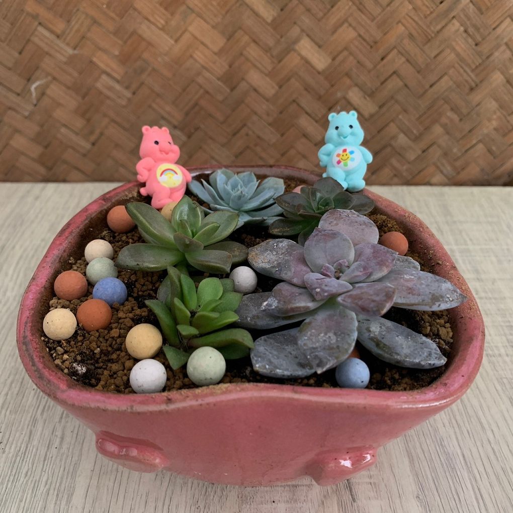 【展覽資訊】成功高中&#038;藍廸兒童之家陶藝盆栽義賣展 @貝大小姐的多元心宇宙