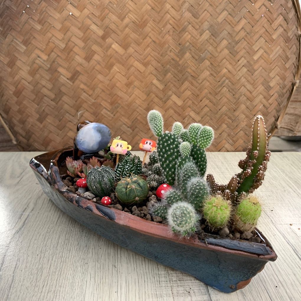 【展覽資訊】成功高中&#038;藍廸兒童之家陶藝盆栽義賣展 @貝大小姐的多元心宇宙
