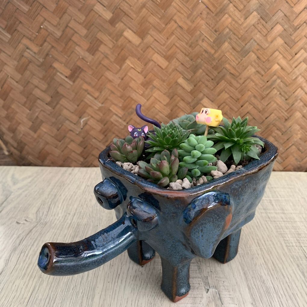 【展覽資訊】成功高中&#038;藍廸兒童之家陶藝盆栽義賣展 @貝大小姐的多元心宇宙