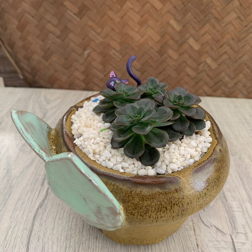 【展覽資訊】成功高中&#038;藍廸兒童之家陶藝盆栽義賣展 @貝大小姐的多元心宇宙