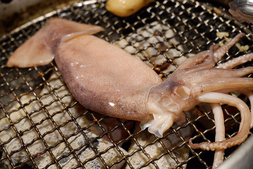 【用心生活】心血來潮的新燒肉店開箱心得 @貝大小姐的多元心宇宙