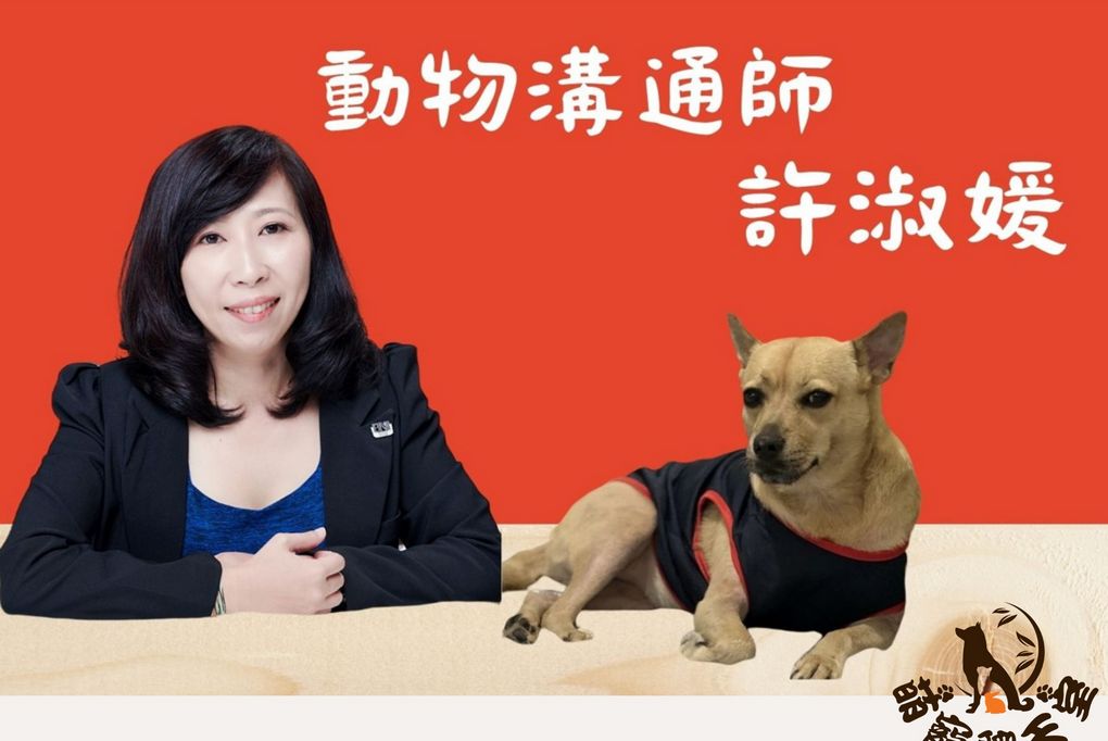 【誰，教會我的一件事】寵物溝通，教會我的一件事 feat. 寵物溝通師 許淑媛 @貝大小姐的多元心宇宙