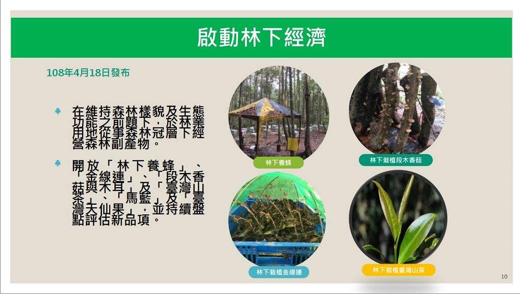 【台東參訪】林務局台東林管處 為森林永續經營 保護森林並且推廣森林資源全材利用，讓國有森林變成國民森林！ @貝大小姐的多元心宇宙