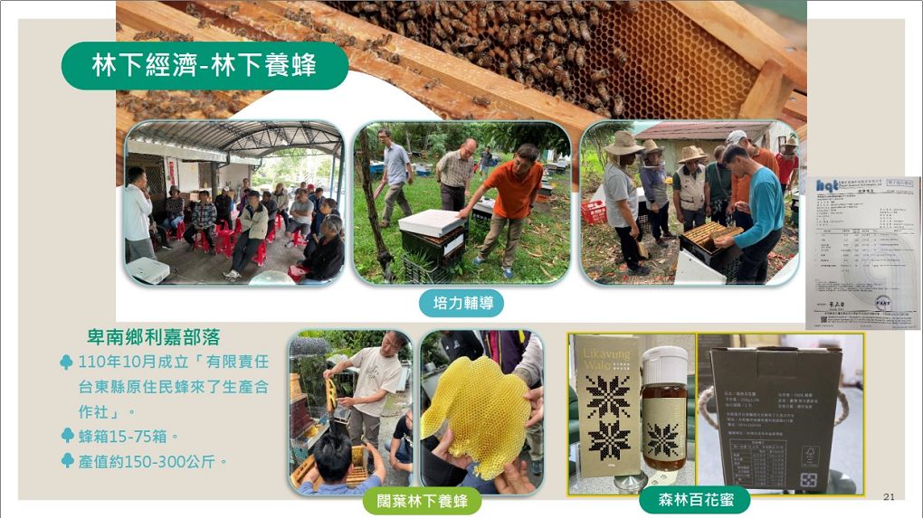 【台東參訪】林務局台東林管處 為森林永續經營 保護森林並且推廣森林資源全材利用，讓國有森林變成國民森林！ @貝大小姐的多元心宇宙