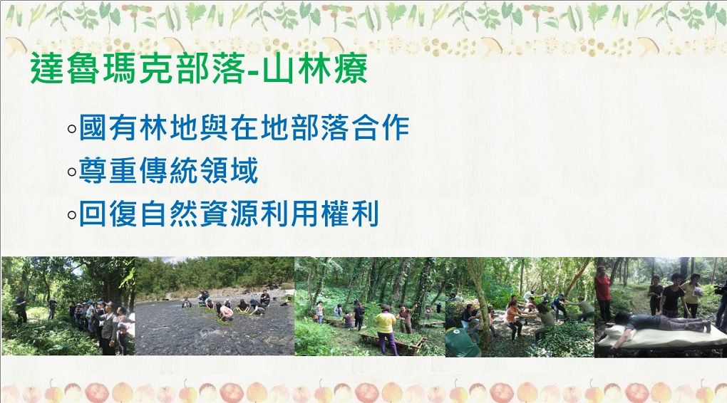 【台東參訪】林務局台東林管處 為森林永續經營 保護森林並且推廣森林資源全材利用，讓國有森林變成國民森林！ @貝大小姐的多元心宇宙