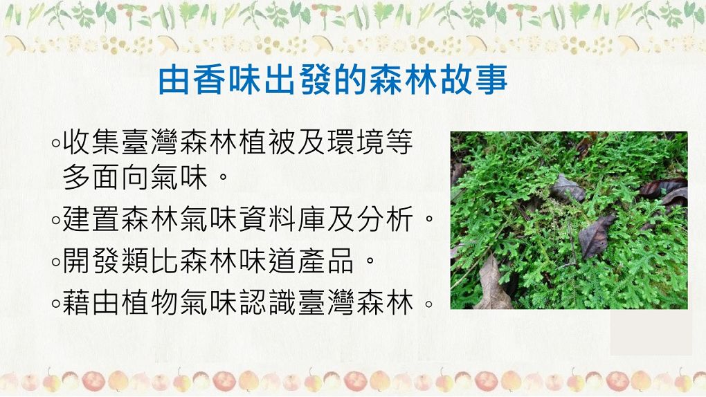 【台東參訪】林務局台東林管處 為森林永續經營 保護森林並且推廣森林資源全材利用，讓國有森林變成國民森林！ @貝大小姐的多元心宇宙