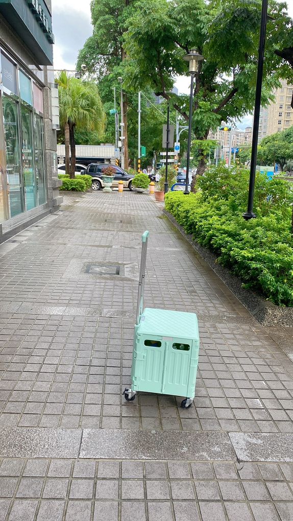 【網購 購物推車】Amodas代理「露禾磁吸翻蓋摺疊購物推車」輕巧好折疊、不佔空間、好收納，還有良好的售後服務，更適合大人小孩使用！ @貝大小姐的多元心宇宙