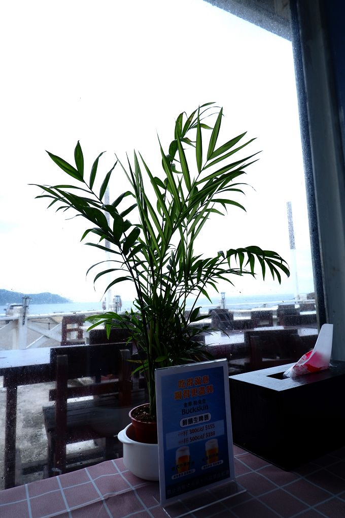 【貢寮活鮑魚料理】東北角海洋牧場 是最早期合法的潮間帶放養九孔、鮑魚的養殖池，更有著遼闊的視野及新鮮的鮑魚及海鮮，是貢寮無敵海景第一排、最適合欣賞潮汐的景觀餐廳！ @貝大小姐的多元心宇宙