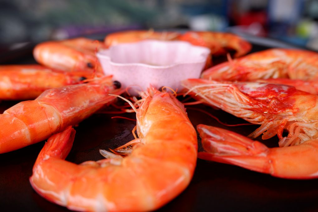 【貢寮活鮑魚料理】東北角海洋牧場 是最早期合法的潮間帶放養九孔、鮑魚的養殖池，更有著遼闊的視野及新鮮的鮑魚及海鮮，是貢寮無敵海景第一排、最適合欣賞潮汐的景觀餐廳！ @貝大小姐的多元心宇宙