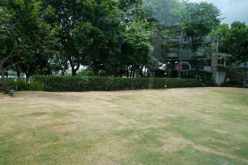 【桃園龍潭景觀咖啡廳推薦】The畔cafe&#038;dining 一百坪的空間裡，以歐式風格的設計為主軸，白色的牆壁及裝潢配上原木色調的桌椅，漂亮的植物、花草穿插其中&#8230;美極了！ @貝大小姐的多元心宇宙