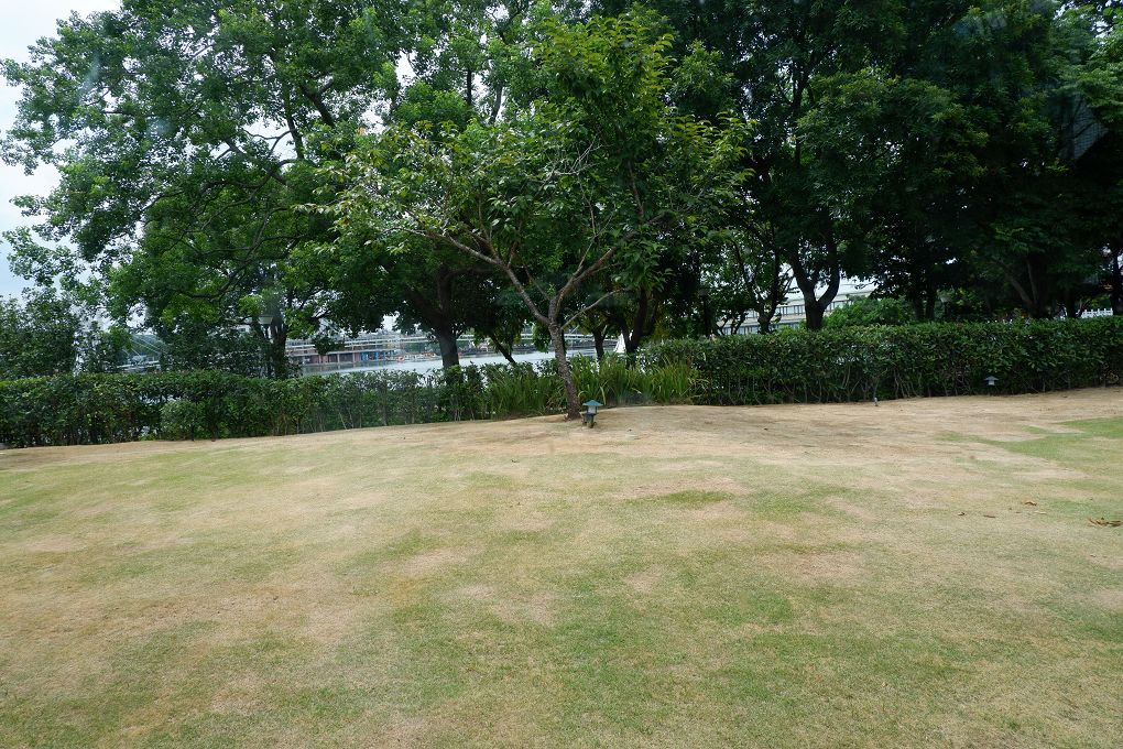 【桃園龍潭景觀咖啡廳推薦】The畔cafe&#038;dining 一百坪的空間裡，以歐式風格的設計為主軸，白色的牆壁及裝潢配上原木色調的桌椅，漂亮的植物、花草穿插其中&#8230;美極了！ @貝大小姐的多元心宇宙