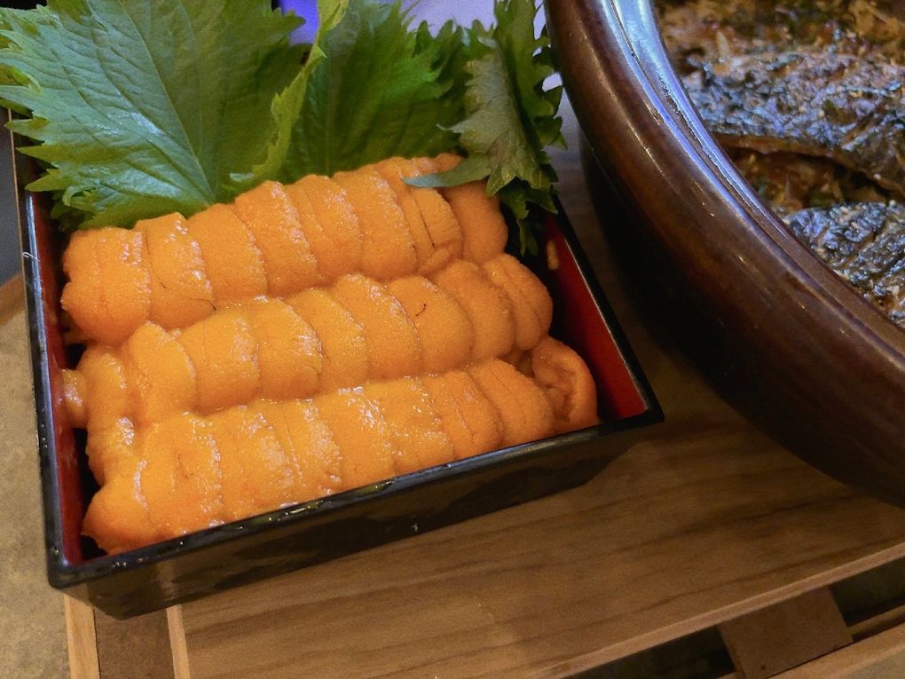 【桃園日式無菜單料理】宗初食堂 日式無菜單料理 桃園分店 1380元的套餐可以吃到活體龍蝦，這CP值也太高了吧！ @貝大小姐的多元心宇宙