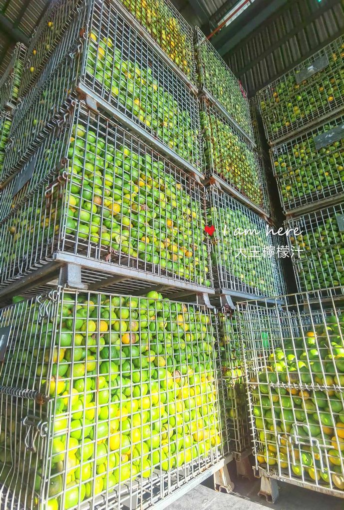 【網購新鮮檸檬汁推薦】大王檸檬汁 急速冷凍直送，做好最頂級的品質把關，中秋烤肉一定要有大王新鮮檸檬汁幫你去油解膩！ @貝大小姐的多元心宇宙
