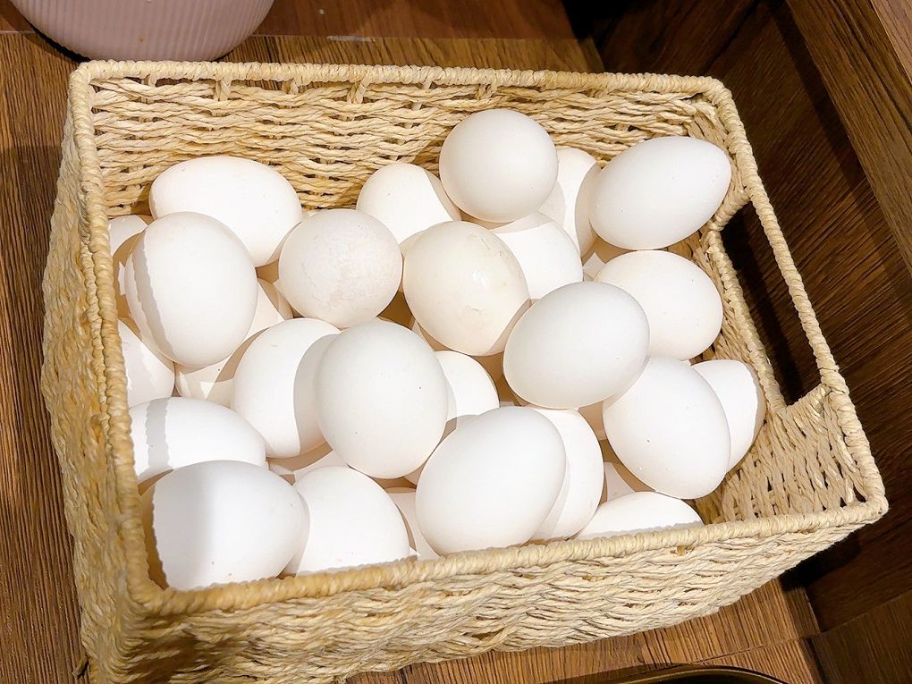 【蘆竹火鍋/鍋物 聚餐餐廳】金蒔鍋物 桃園大竹總店 肉品、食材、湯頭都非常有水準，還有自助吧吃到飽，CP超高，快帶著家人朋友一起來金蒔，度過美好金時！ @貝大小姐的多元心宇宙