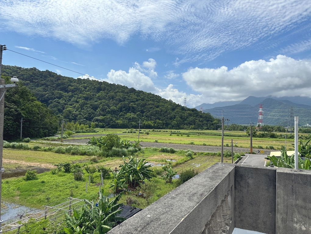 【 朝陽早秋一日散策】全國金牌農村-南澳朝陽社區、契作苦茶園採果體驗、朝陽步道、感受山海療癒土地美好！ @貝大小姐的多元心宇宙