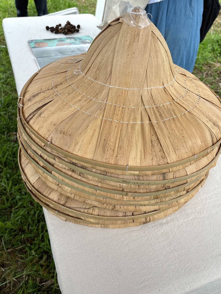 【 朝陽早秋一日散策】全國金牌農村-南澳朝陽社區、契作苦茶園採果體驗、朝陽步道、感受山海療癒土地美好！ @貝大小姐的多元心宇宙