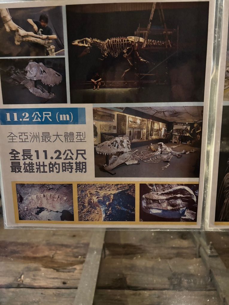 【宜蘭景點推薦】Robert Y廢墟暴龍館 最新實境解謎與探險遊戲，讓恐龍與廢墟交織出另一股神秘的探索魅力！ @貝大小姐的多元心宇宙