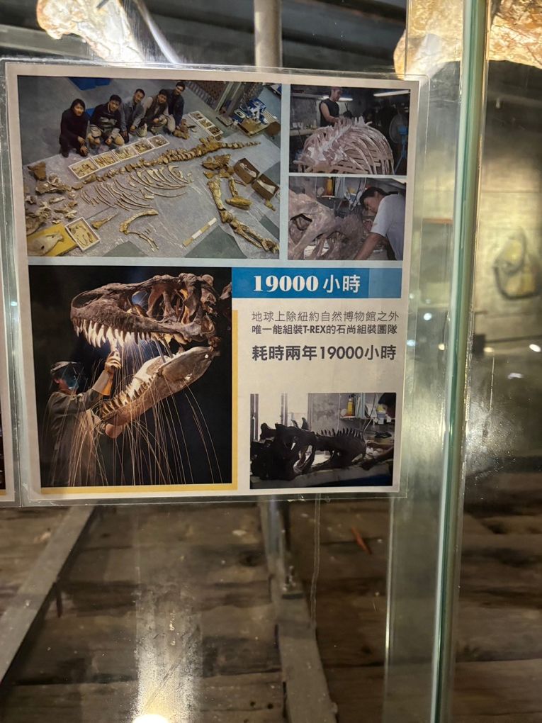 【宜蘭景點推薦】Robert Y廢墟暴龍館 最新實境解謎與探險遊戲，讓恐龍與廢墟交織出另一股神秘的探索魅力！ @貝大小姐的多元心宇宙