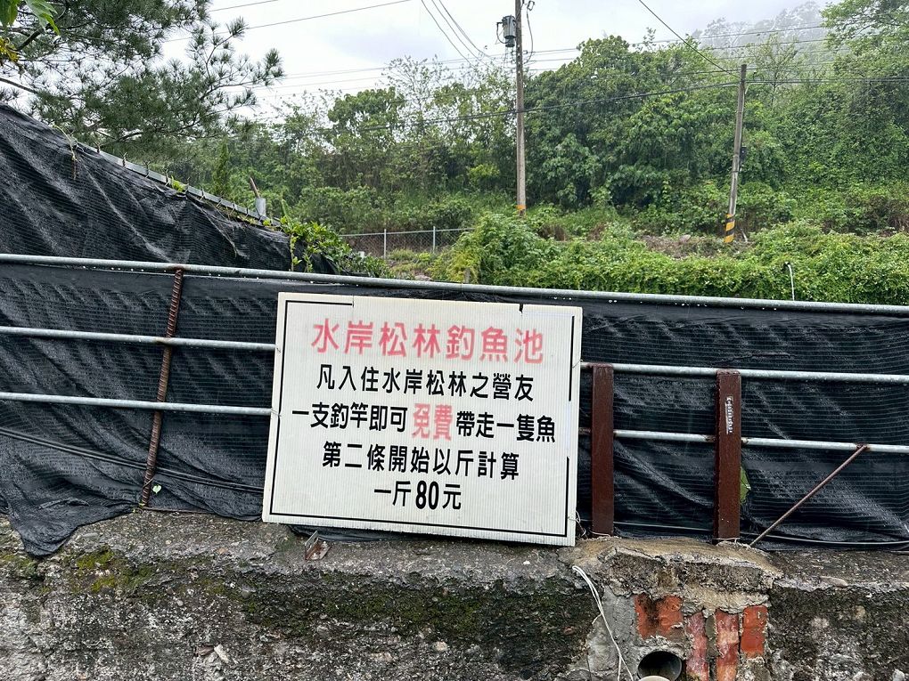 【南投國姓鄉露營區推薦】水岸松林農場  不論是露營玩家、露營小白或懶人露營都會一次愛上的露營區！ @貝大小姐的多元心宇宙