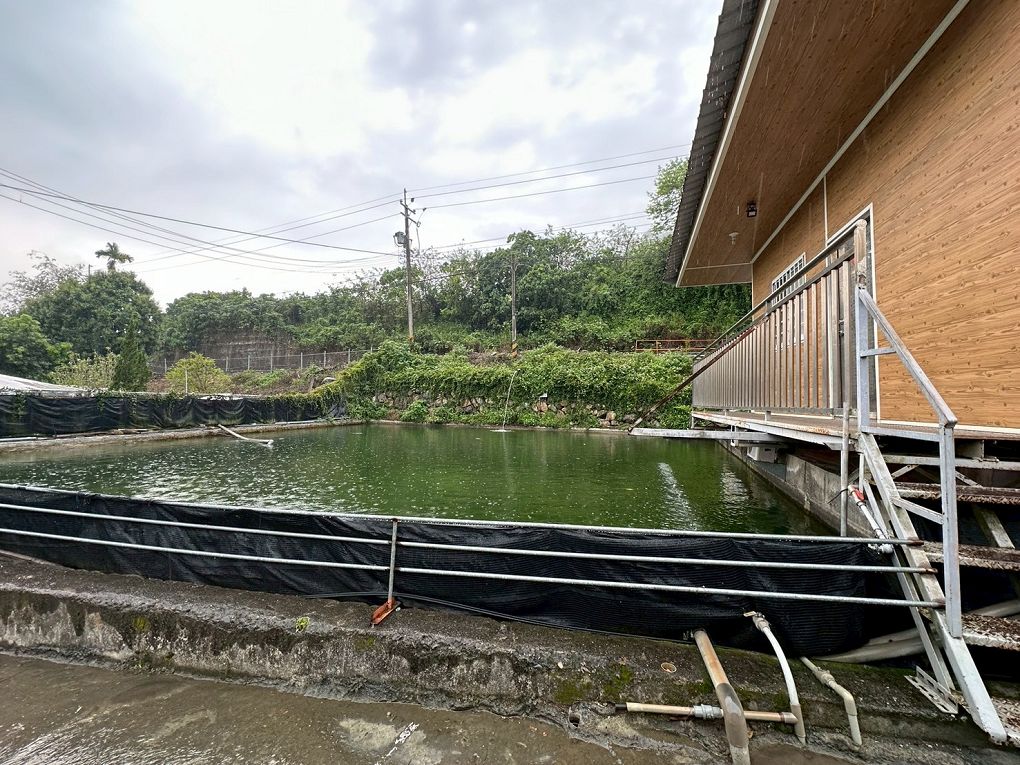 【南投國姓鄉露營區推薦】水岸松林農場  不論是露營玩家、露營小白或懶人露營都會一次愛上的露營區！ @貝大小姐的多元心宇宙