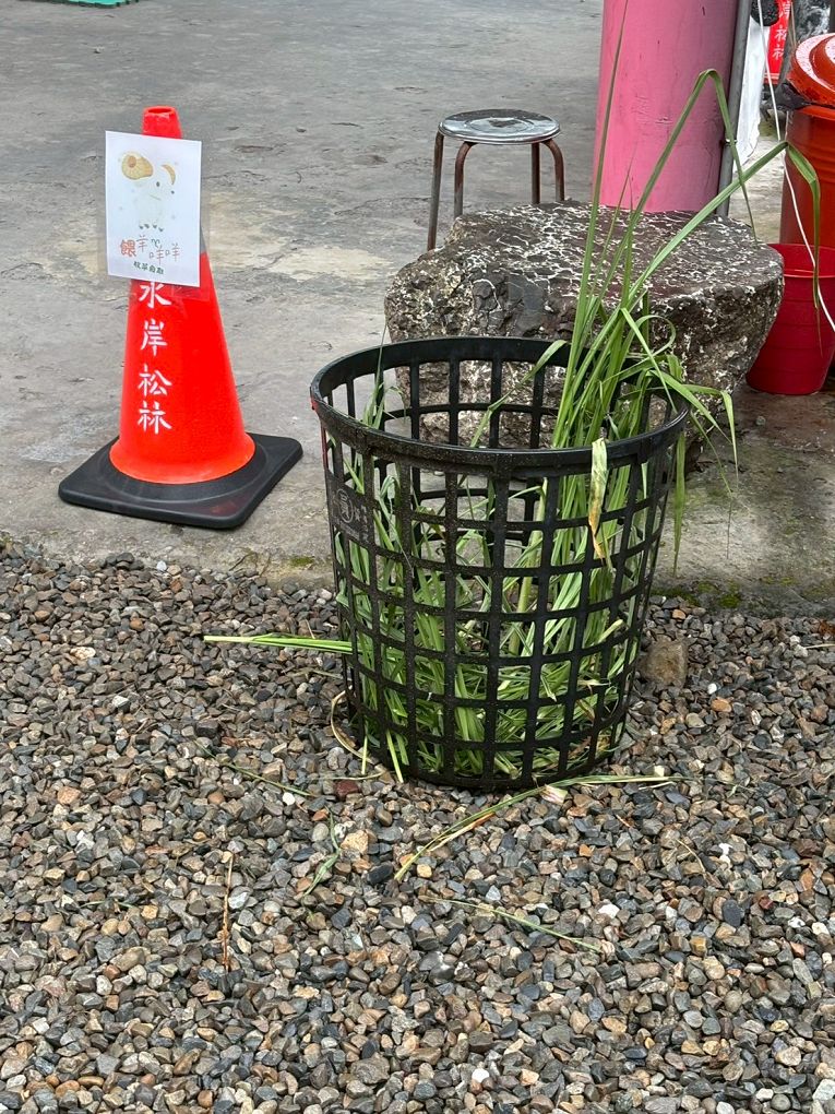 【南投國姓鄉露營區推薦】水岸松林農場  不論是露營玩家、露營小白或懶人露營都會一次愛上的露營區！ @貝大小姐的多元心宇宙