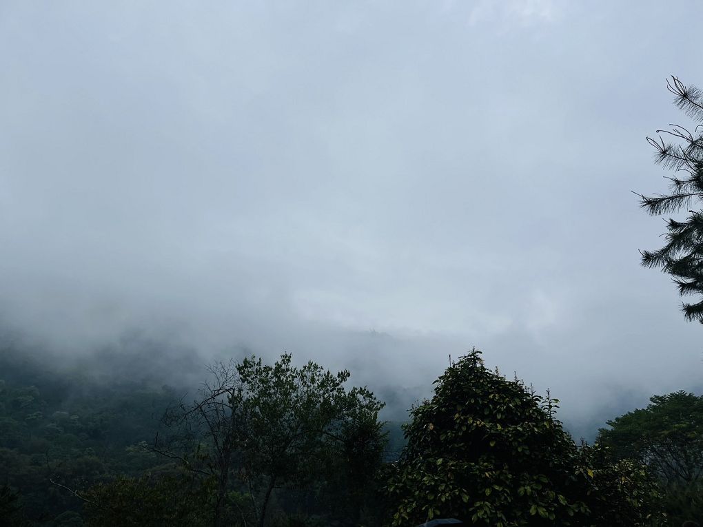 【南投國姓鄉露營區推薦】水岸松林農場  不論是露營玩家、露營小白或懶人露營都會一次愛上的露營區！ @貝大小姐的多元心宇宙