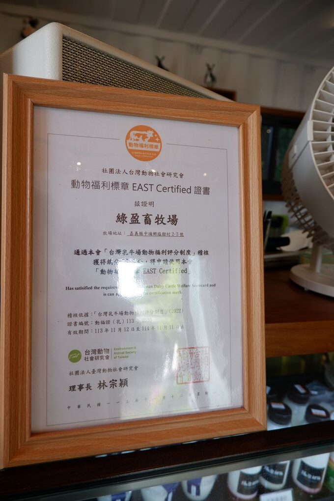 【嘉義景點餐廳推薦】綠盈牧場 × 養牛人家  餵小牛＋吃美食，嘉義親子景點一站滿足！ @貝大小姐的多元心宇宙