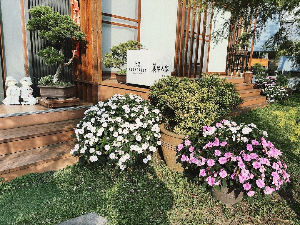 【嘉義景點餐廳推薦】綠盈牧場 × 養牛人家  餵小牛＋吃美食，嘉義親子景點一站滿足！ @貝大小姐的多元心宇宙