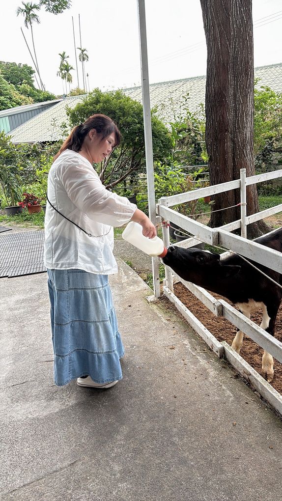 【嘉義景點餐廳推薦】綠盈牧場 × 養牛人家  餵小牛＋吃美食，嘉義親子景點一站滿足！ @貝大小姐的多元心宇宙
