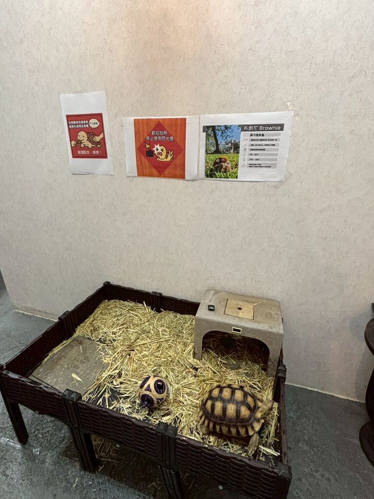 【桃園蘆竹平價小火鍋推薦】強鍋 平價也能奢華，火烤兩吃超霸氣！燒烤火鍋一次滿足！ @貝大小姐的多元心宇宙