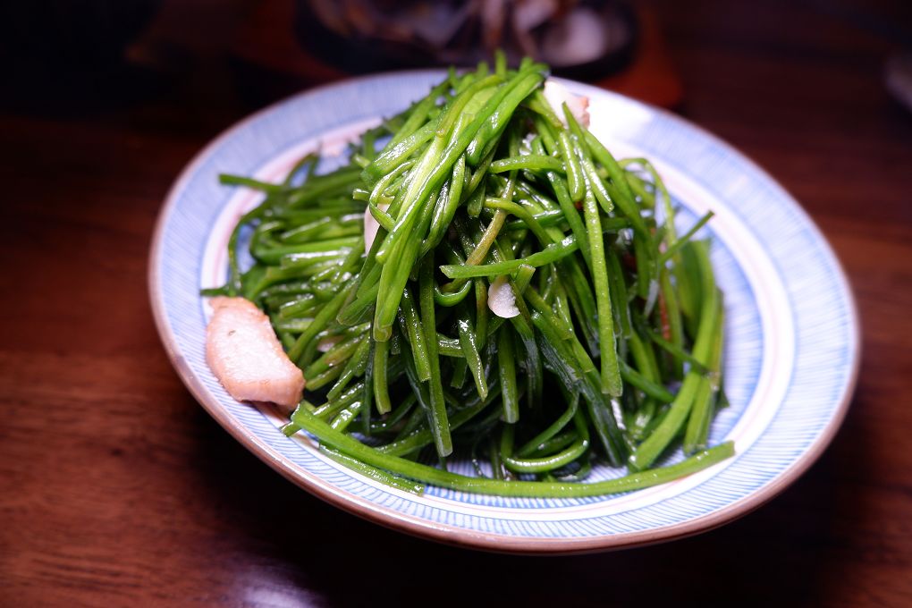 【板橋居酒屋推薦】菁禾町居酒屋  小酌解壓神店！串燒、炸物、暢飲499，讓你吃到停不下來！ @貝大小姐的多元心宇宙