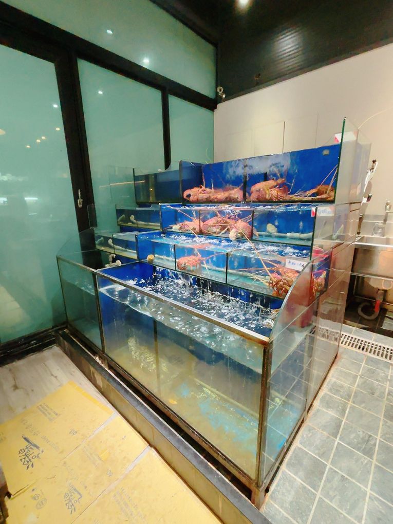 【林口 年節用餐第一首選】水蛙師私廚料理 奇真會館 團圓飯首選，40年金牌御廚坐鎮，好吃年菜必收藏！ @貝大小姐的多元心宇宙