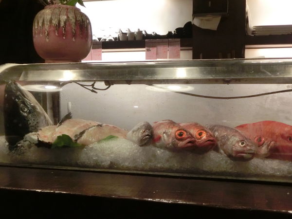@宜蘭美食@ 五條通創新居酒屋 完食的幸福！（結束營業） @貝大小姐的多元心宇宙
