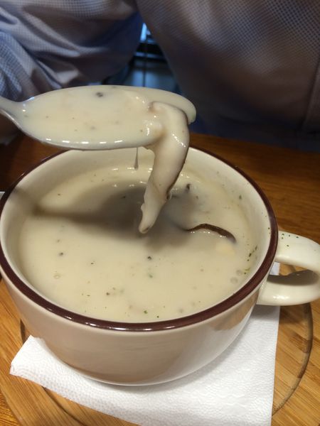 @台北 東區 美食@ CAMPUS CAFE 湯，真的很重要 @貝大小姐的多元心宇宙
