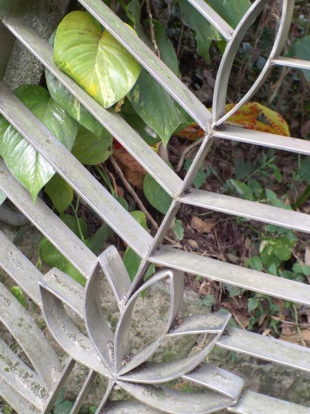 植物邀稿文：到植物園外拍趣 @貝大小姐的多元心宇宙