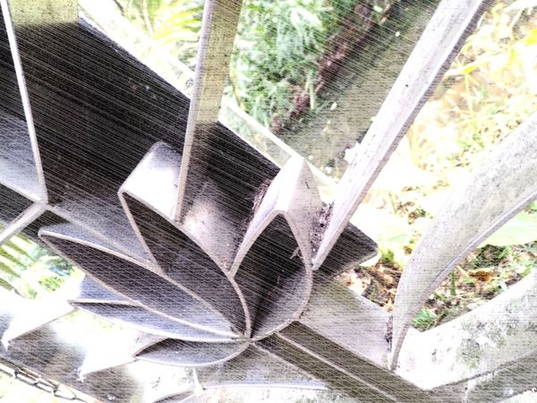 植物邀稿文：到植物園外拍趣 @貝大小姐的多元心宇宙