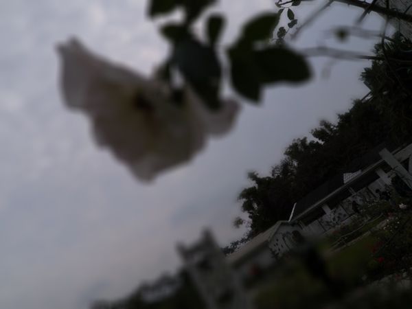 士林官邸公園外拍遊記 @貝大小姐的多元心宇宙